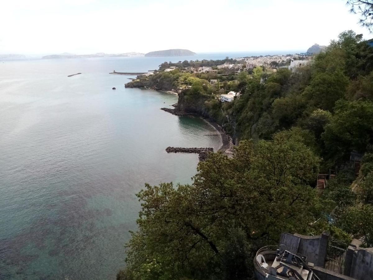 L'Incanto Suites Ischia Casamicciola Terme ภายนอก รูปภาพ