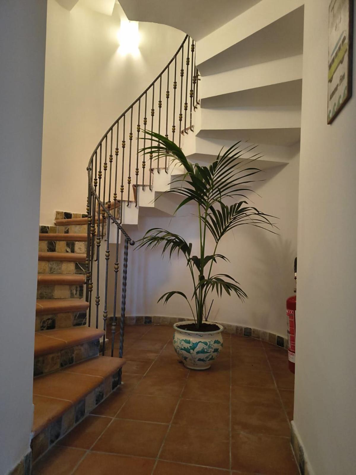 L'Incanto Suites Ischia Casamicciola Terme ภายนอก รูปภาพ